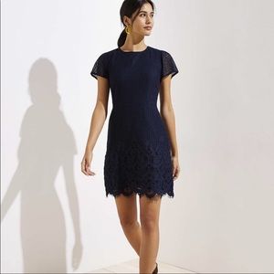 Ann Taylor Loft Lace Sheath Dress